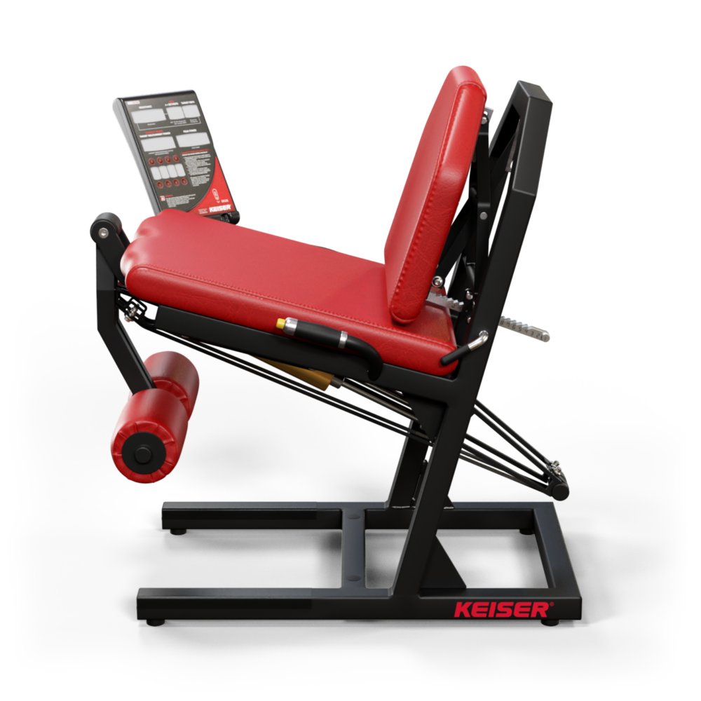 A300 Leg Extension Pro – Bild 3