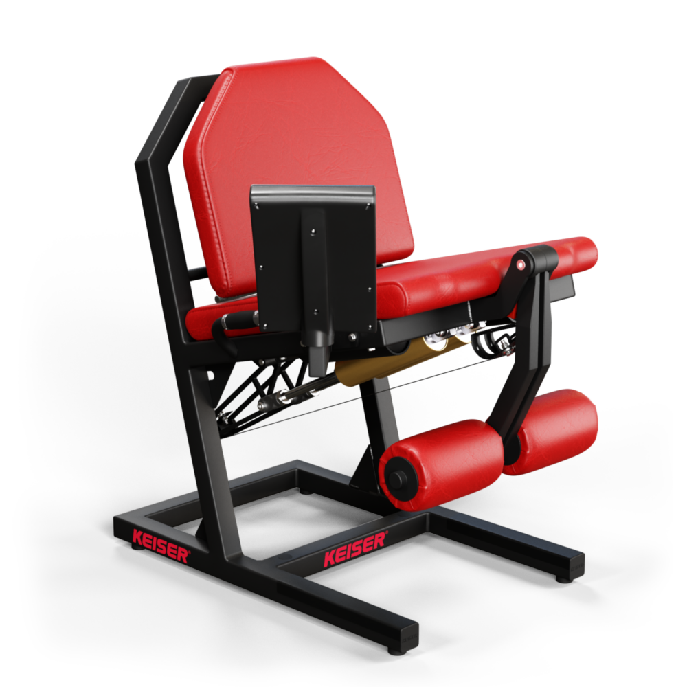 A300 Leg Extension Pro – Bild 6
