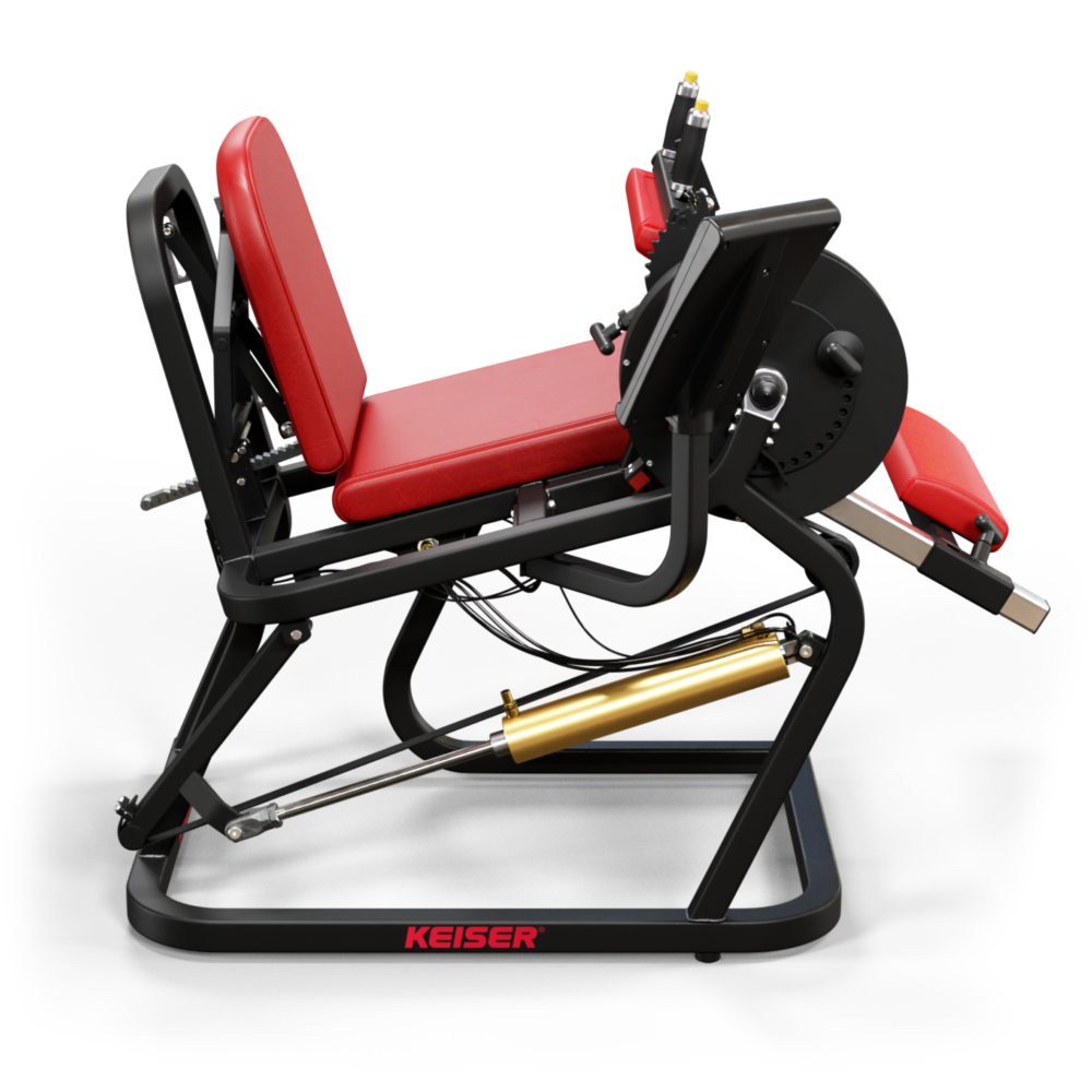 A250 Seated Leg Curl – Bild 5