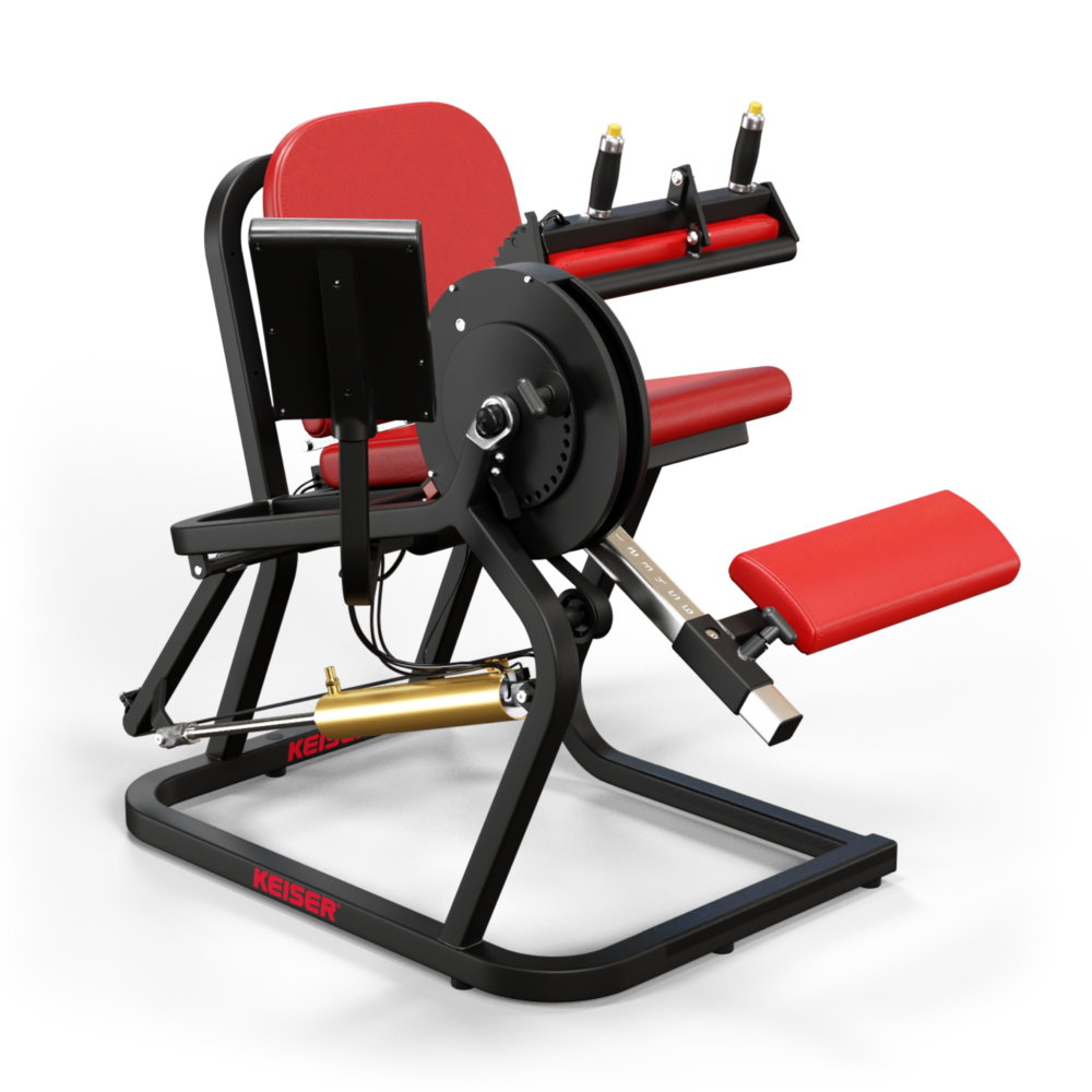 A250 Seated Leg Curl – Bild 6