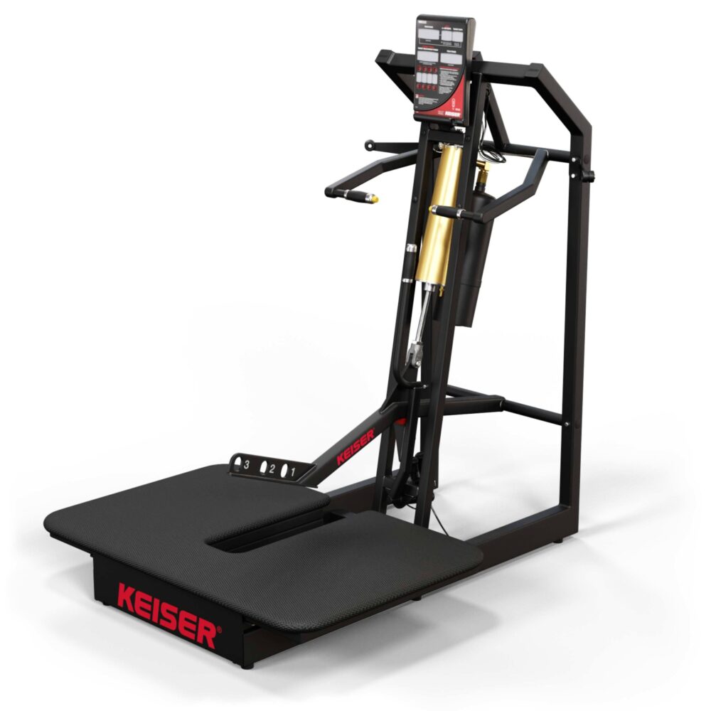 A300 Belt Squat