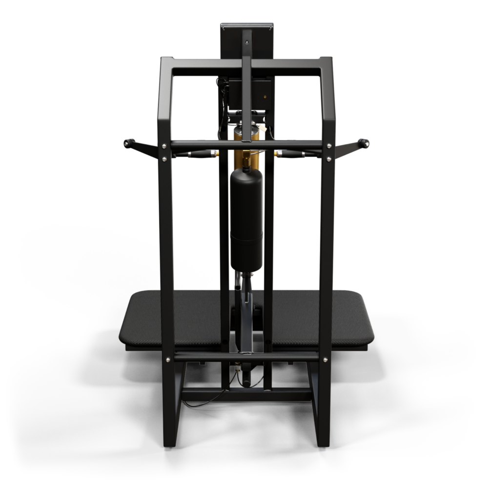 A300 Belt Squat – Bild 4