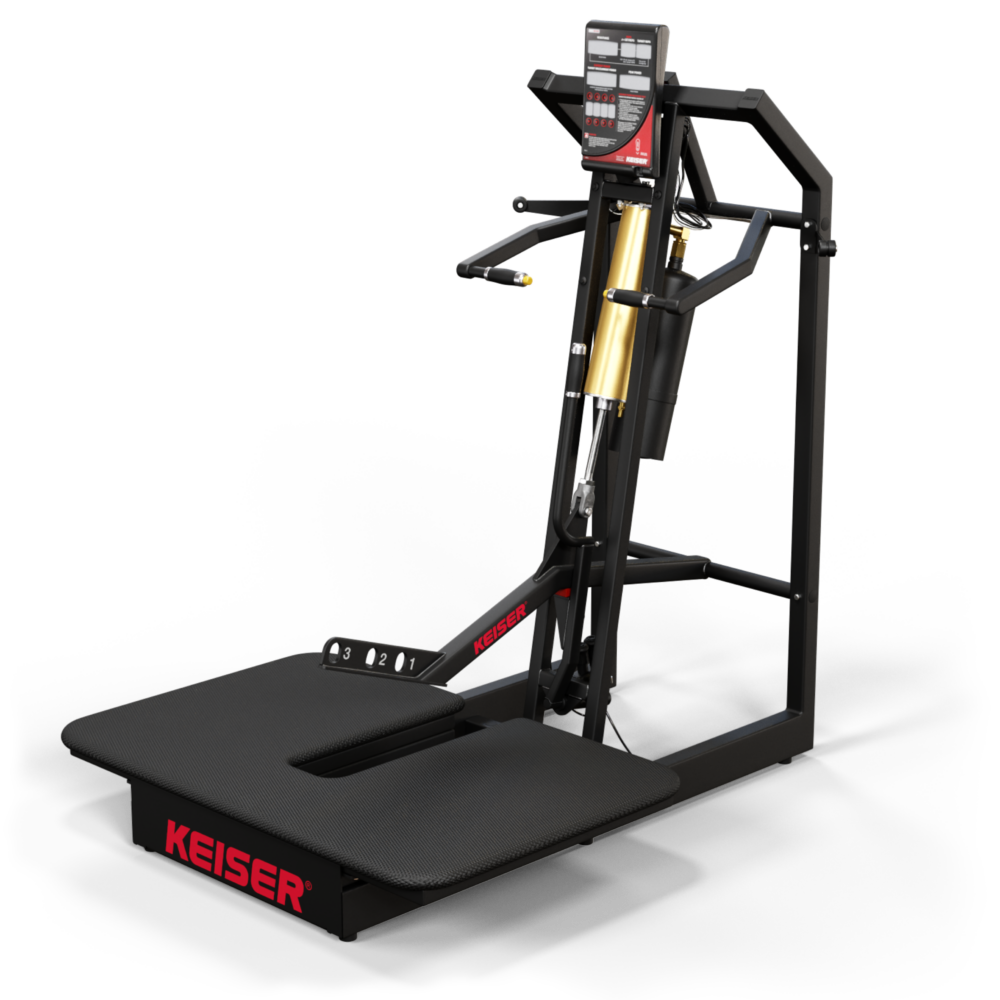 A300 Belt Squat – Bild 6