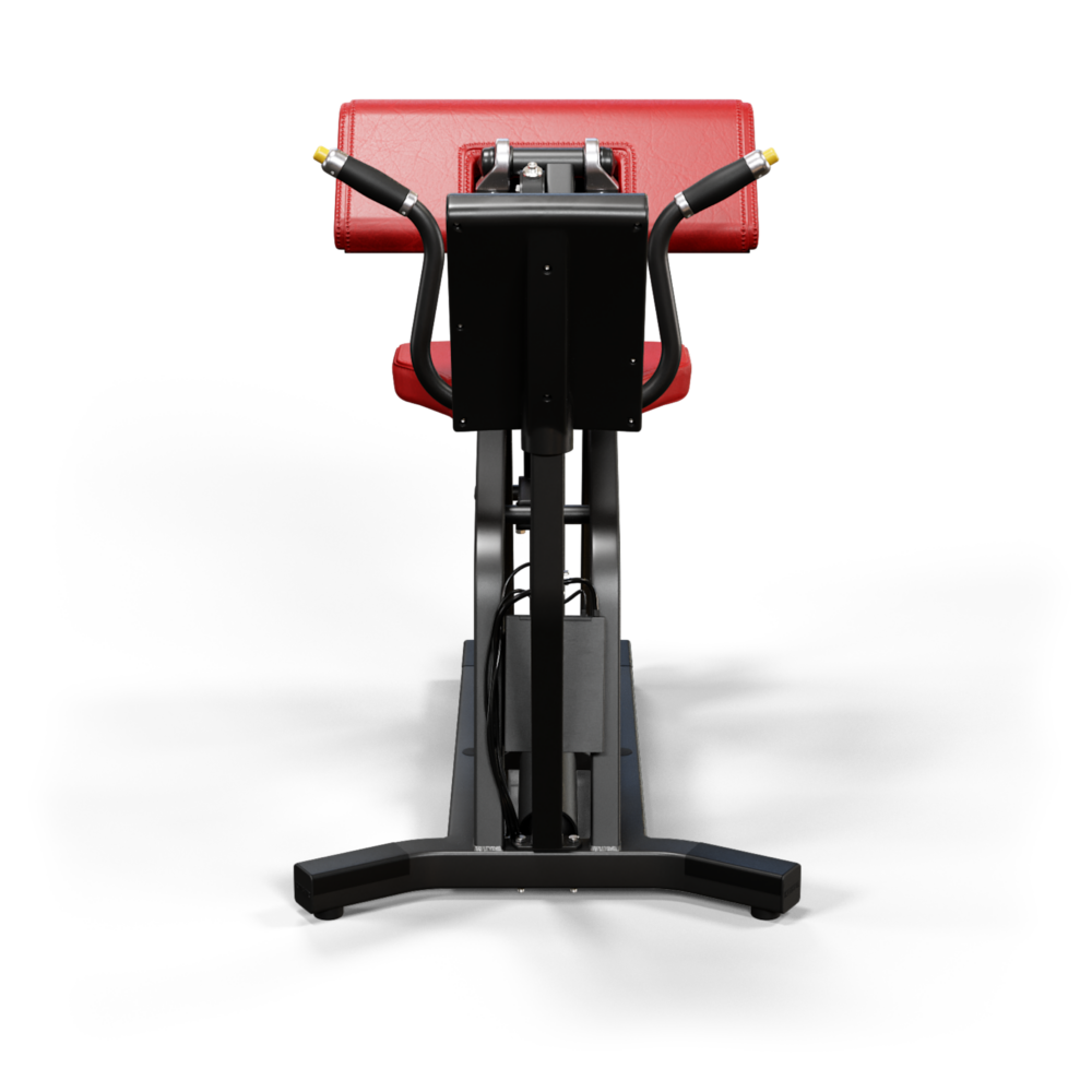A250 Arm Curl – Bild 2