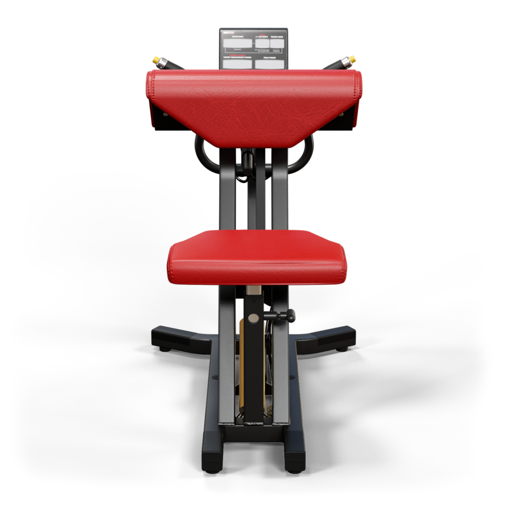 A250 Arm Curl – Bild 4
