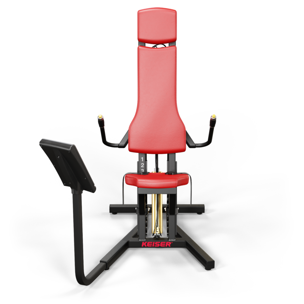A250 Triceps – Bild 2