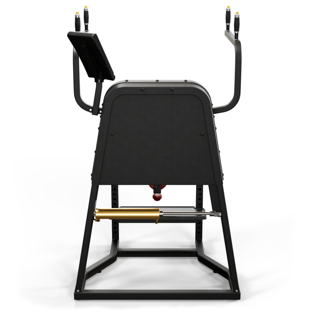 A250 Standing Hip – Bild 5